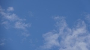 DSC00566