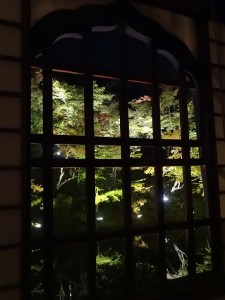 DSC00153-s