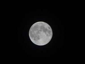 DSC05406